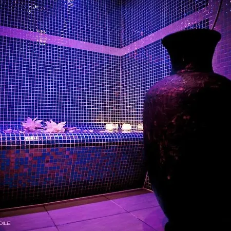 Le Clos Des Thermes De Luxe Avec Wellness Privatif Bed & Breakfast Chaudfontaine