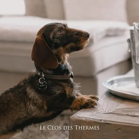 Le Clos Des Thermes Bed & Breakfast