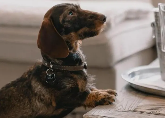 Le Clos Des Thermes Bed & Breakfast